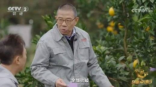 2024年末央视再度专访钟睒睒<strong></p>
<p>合约交易所</strong>，背后有何深意？