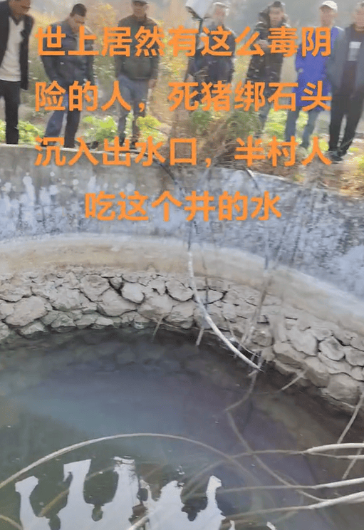 村庄水井内发现被绑石头死猪<strong></p>
<p>币星交易所</strong>，“一半村民饮用水源”，广西荔浦警方介入