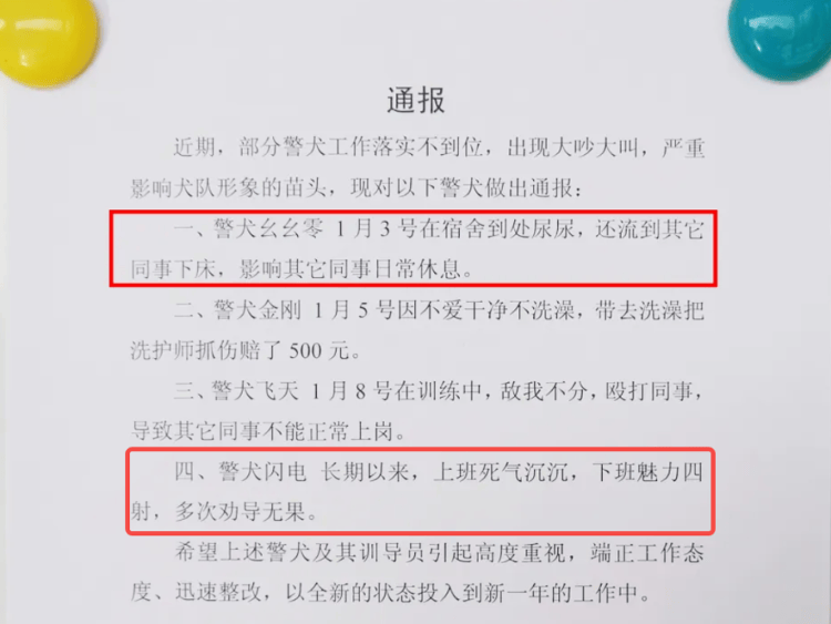 “上班死气沉沉、下班魅力四射”<strong></p>
<p>交易所债券交易规则</strong>，警犬被通报