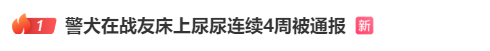 “上班死气沉沉、下班魅力四射”<strong></p>
<p>交易所债券交易规则</strong>，警犬被通报