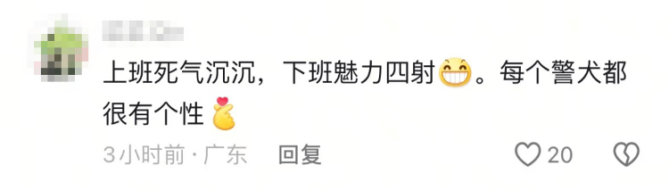 “上班死气沉沉、下班魅力四射”<strong></p>
<p>交易所债券交易规则</strong>，警犬被通报