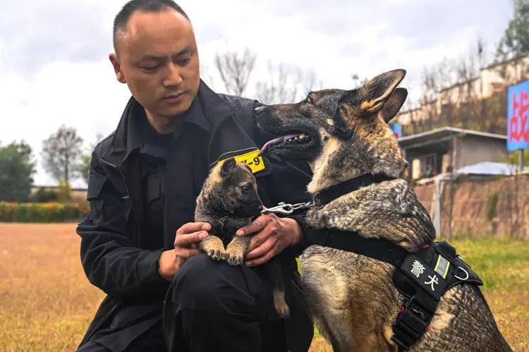 “上班死气沉沉、下班魅力四射”<strong></p>
<p>交易所债券交易规则</strong>，警犬被通报