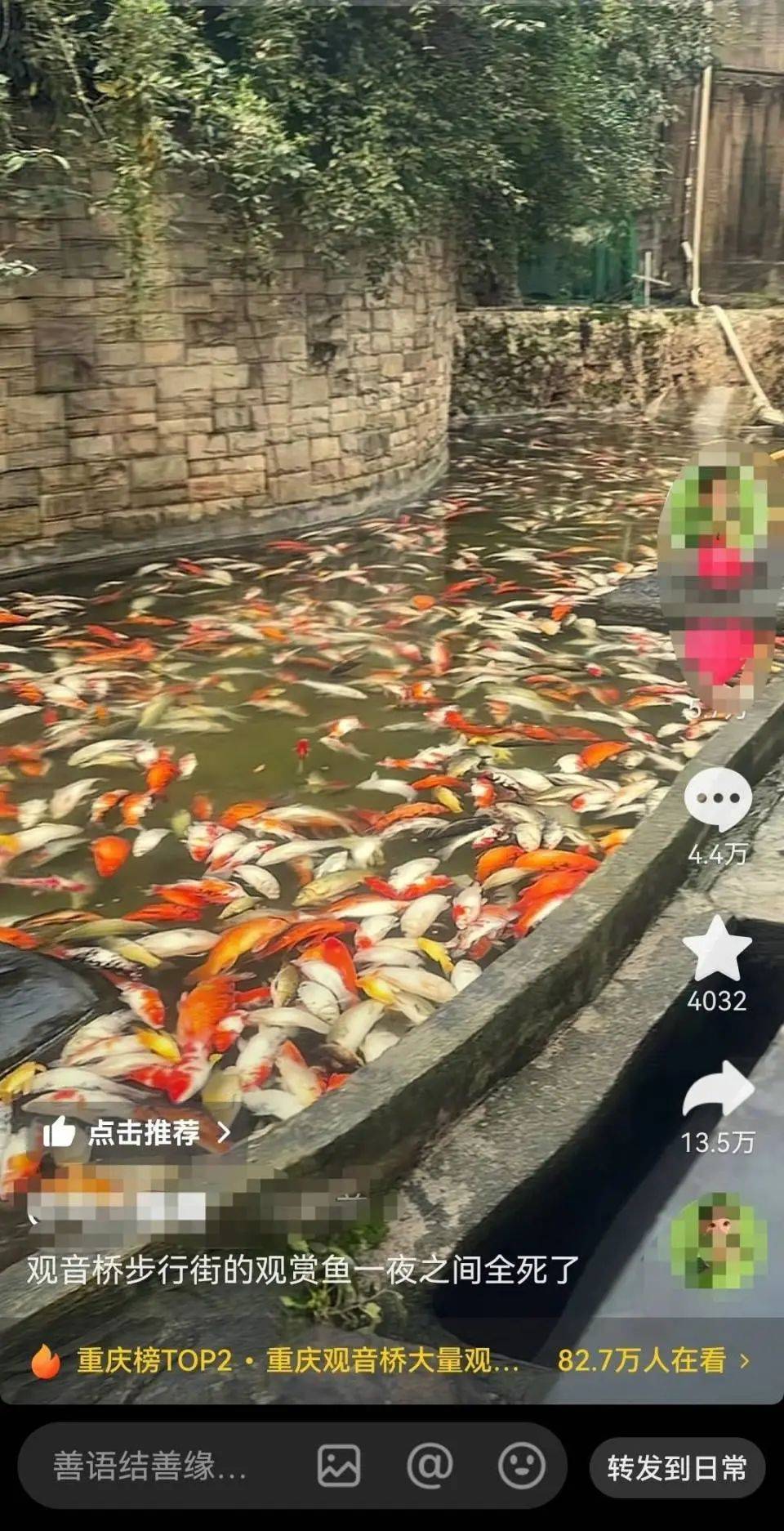 ​一公园观赏鱼大量死亡<strong></p>
<p>交易所债券交易规则</strong>，死鱼装满30余编织袋，警方通报
