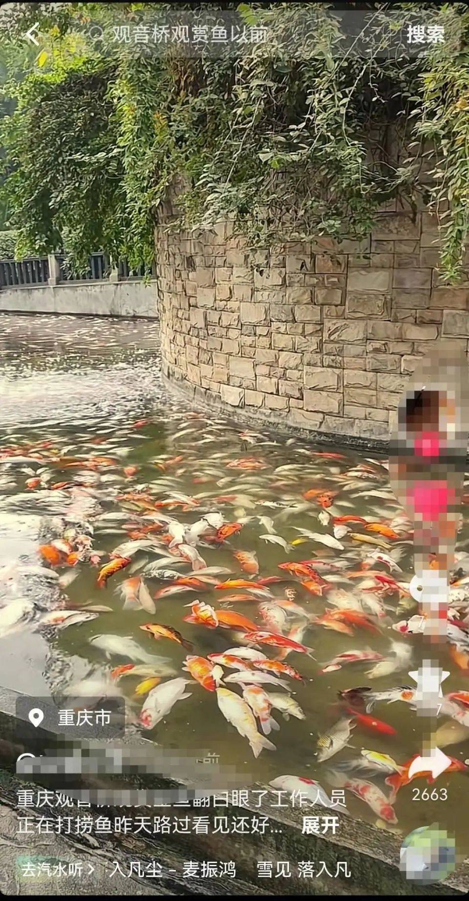 ​一公园观赏鱼大量死亡<strong></p>
<p>交易所债券交易规则</strong>，死鱼装满30余编织袋，警方通报