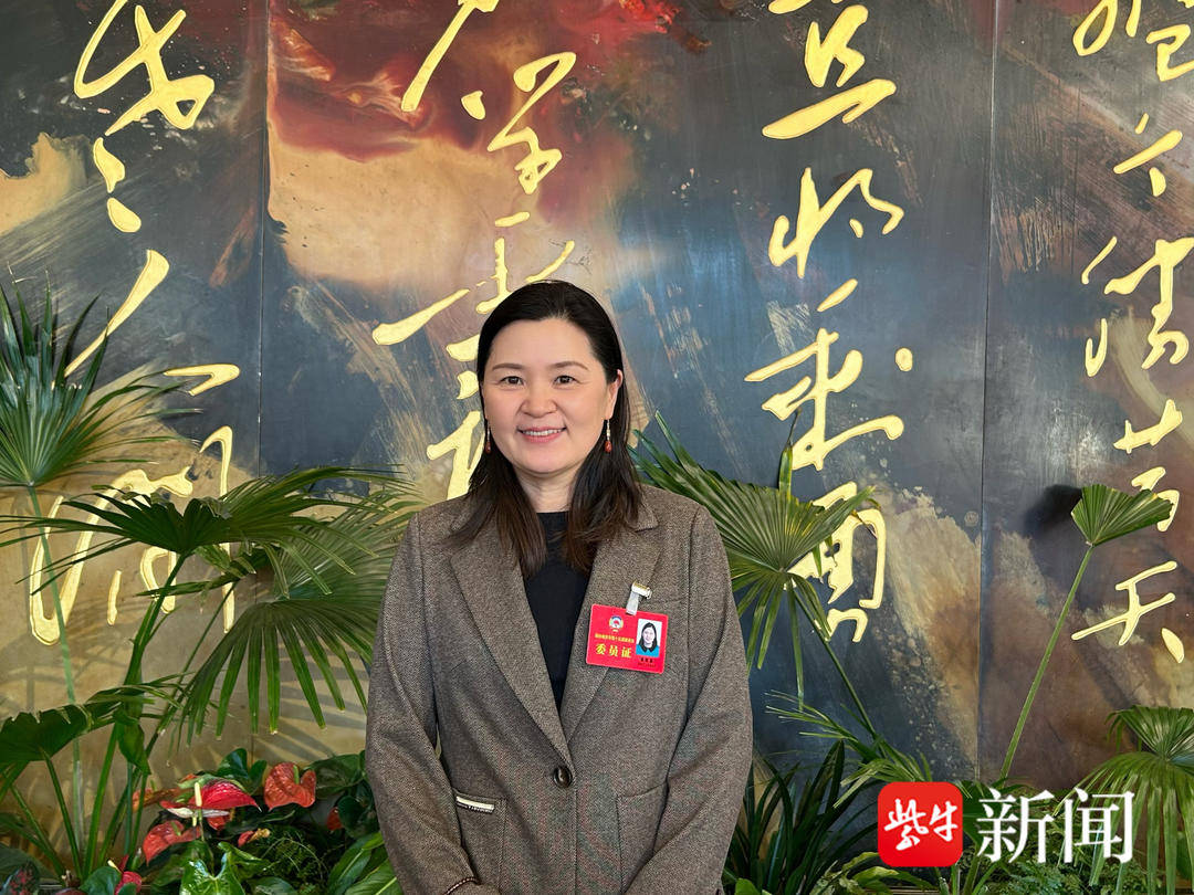 2025南京两会专题｜过了江难进城<strong></p>
<p>交易所债券交易规则</strong>？新庄立交拥堵真无解？看代表委员来支招