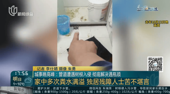 树根入侵<strong></p>
<p>泰坦交易所</strong>，家里遭殃…上海姐妹俩傻眼，转机来了