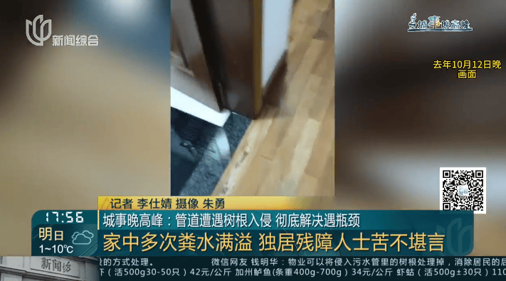 树根入侵<strong></p>
<p>泰坦交易所</strong>，家里遭殃…上海姐妹俩傻眼，转机来了