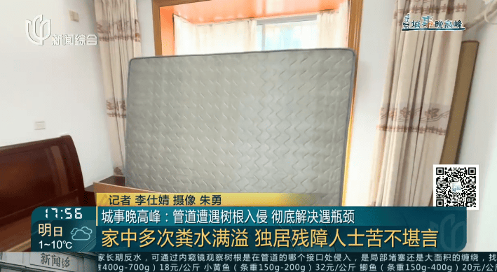 树根入侵<strong></p>
<p>泰坦交易所</strong>，家里遭殃…上海姐妹俩傻眼，转机来了