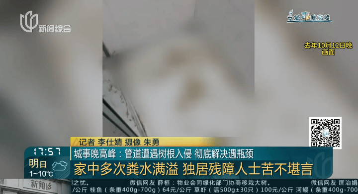 树根入侵<strong></p>
<p>泰坦交易所</strong>，家里遭殃…上海姐妹俩傻眼，转机来了