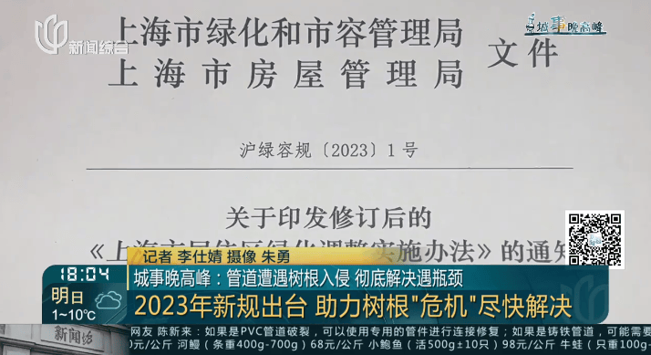 树根入侵<strong></p>
<p>泰坦交易所</strong>，家里遭殃…上海姐妹俩傻眼，转机来了