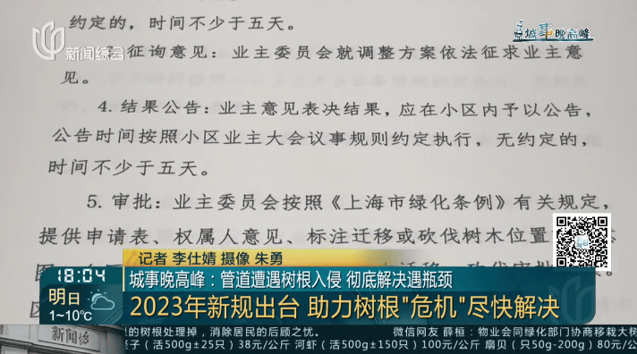 树根入侵<strong></p>
<p>泰坦交易所</strong>，家里遭殃…上海姐妹俩傻眼，转机来了