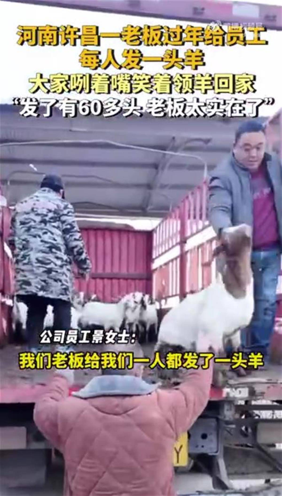 河南一公司给60多名员工每人发一头羊<strong></p>
<p>j交易所债券质押</strong>，员工：太实在了，跟着老板有肉吃！