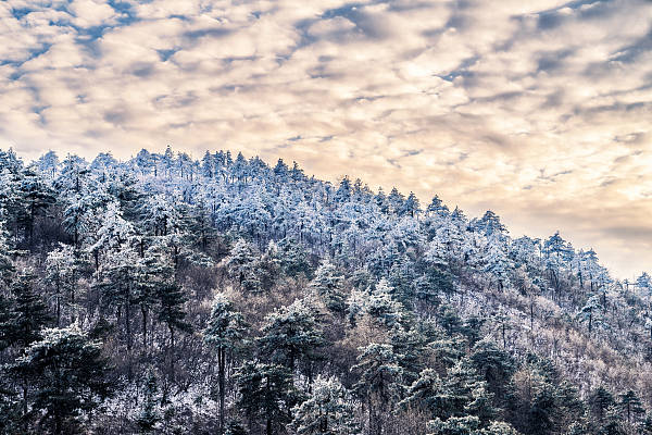 领导赏雪封游客下山路是误会<strong></p>
<p>天王币交易所</strong>?景区道路管控可以更细化