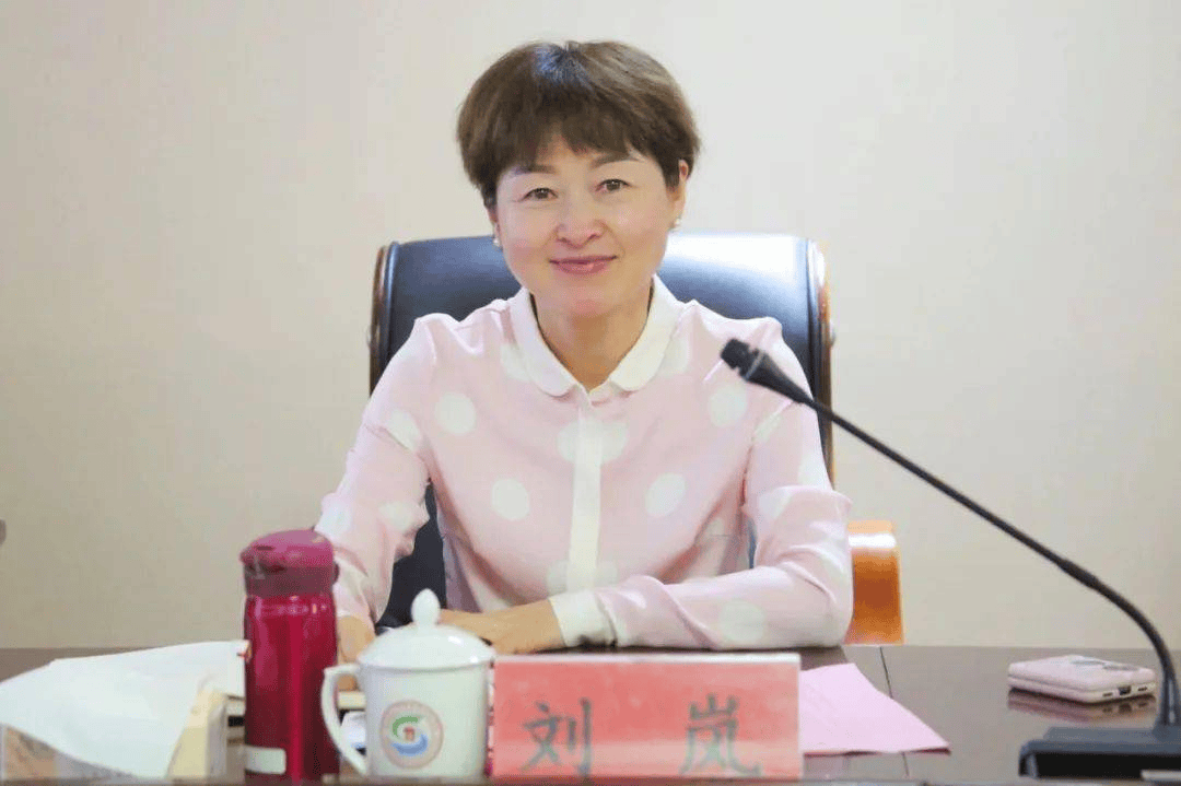 官宣<strong></p>
<p>触币交易所</strong>！副市长刘岚落马