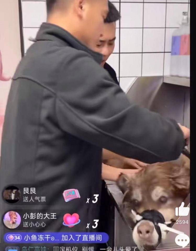 千万粉丝训犬师网红潘宏账号内容被一夜清空<strong></p>
<p>触币交易所</strong>，园区所在地官方：正调查