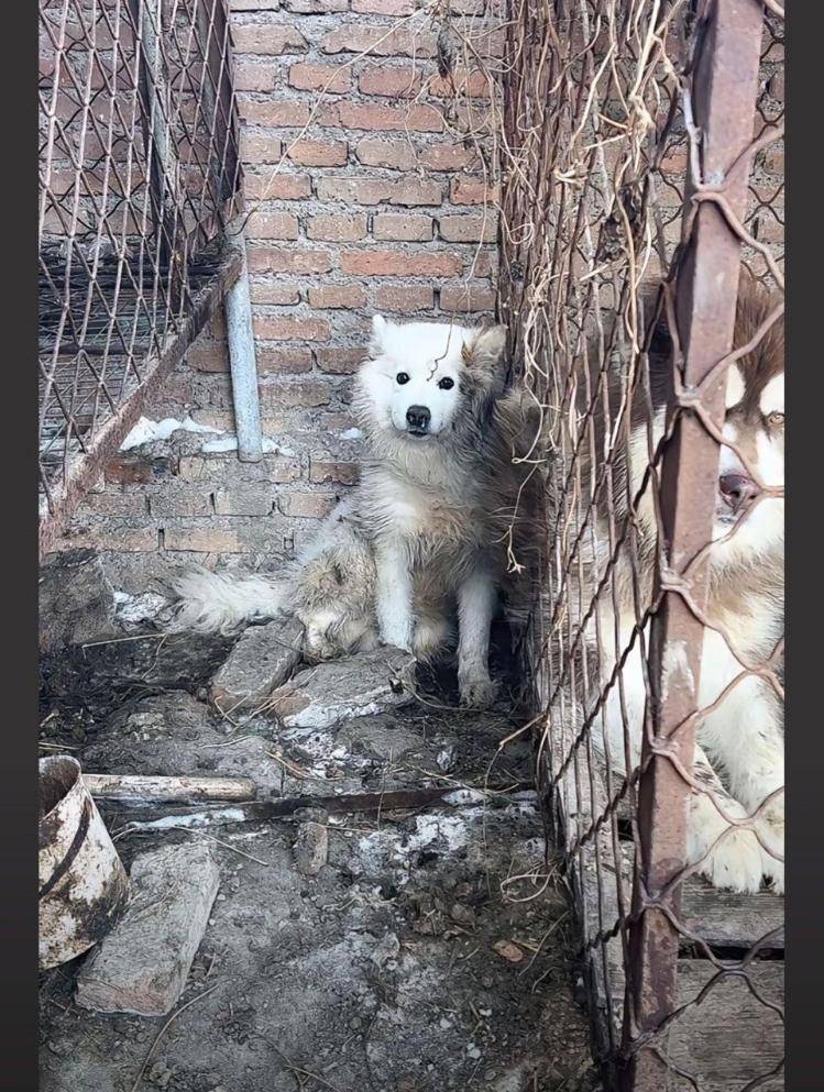 千万粉丝训犬师网红潘宏账号内容被一夜清空<strong></p>
<p>触币交易所</strong>，园区所在地官方：正调查