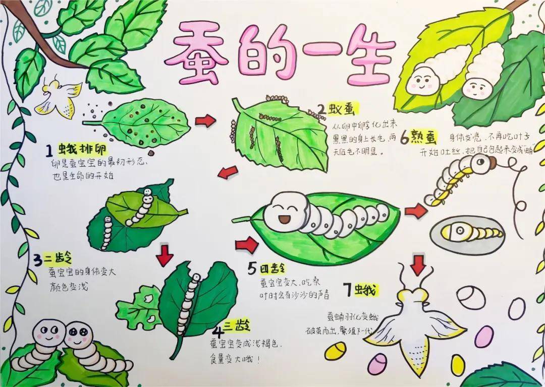 一年卖出1亿条虫！迷倒全国“10后”的小生意<strong></p>
<p>uskd币交易所</strong>，有人年入千万
