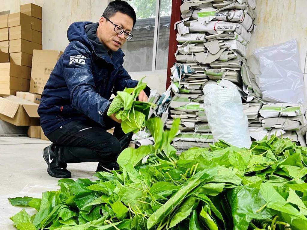 一年卖出1亿条虫！迷倒全国“10后”的小生意<strong></p>
<p>uskd币交易所</strong>，有人年入千万
