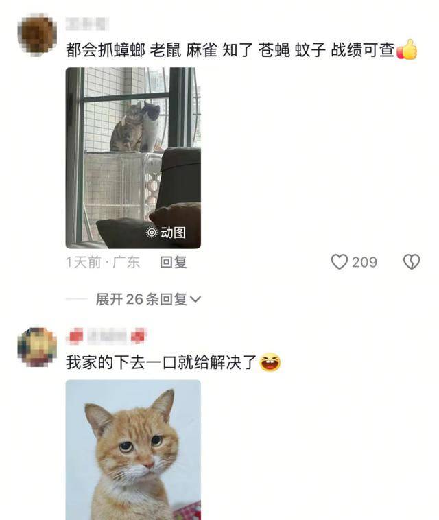 老鼠掉进泳池<strong></p>
<p>满币网交易所</strong>，广东大叔出动鸡猫狗团队，结果全被老鼠吓跑！网友坐不住纷纷晒战绩