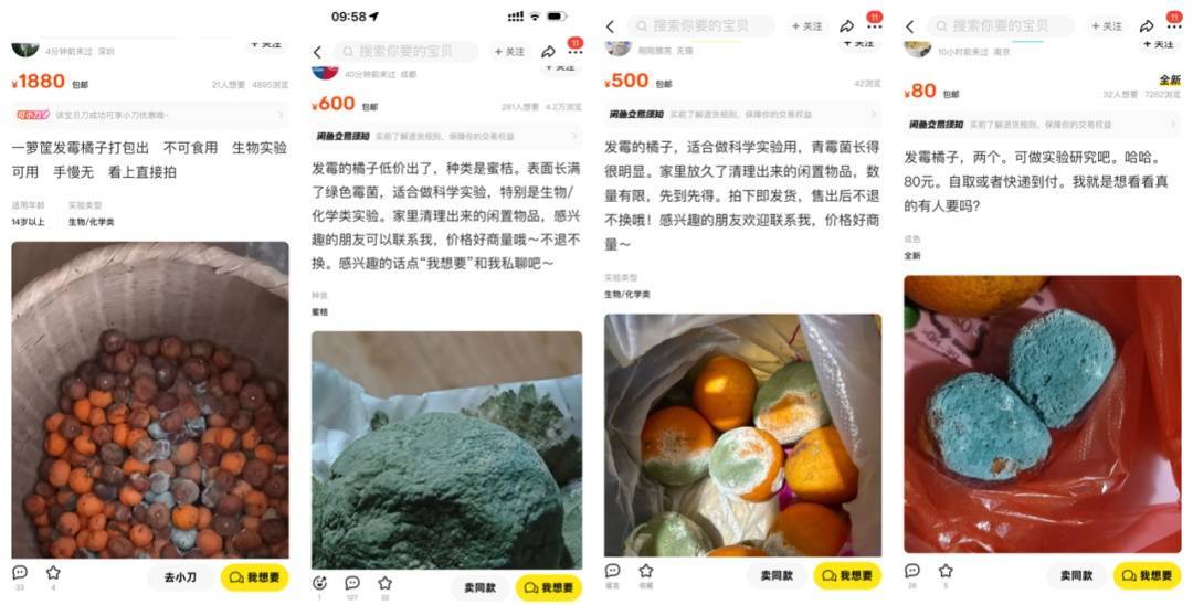 突然火了<strong></p>
<p>币君交易所</strong>！有人卖500元一个！网友：后悔扔了……