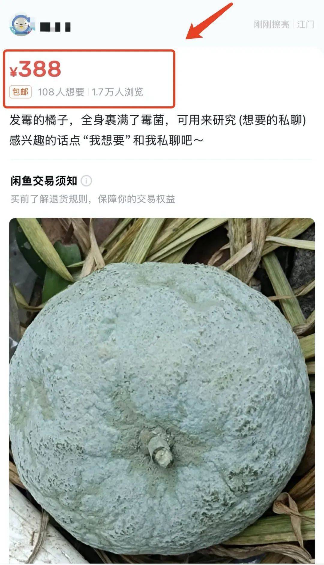 突然火了<strong></p>
<p>币君交易所</strong>！有人卖500元一个！网友：后悔扔了……