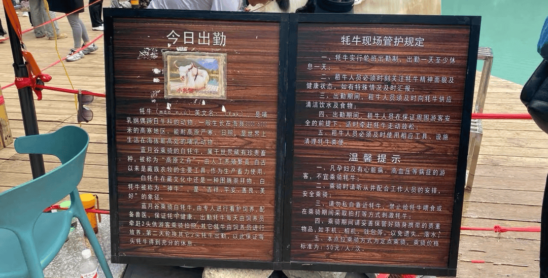 供游客拍照的“打工”白牦牛年入600万<strong></p>
<p>以飞交易所</strong>？景区工作人员：不可能