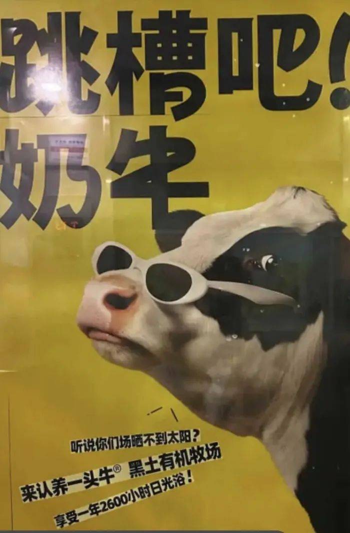 认养一头牛广告被质疑讽刺打工人<strong></p>
<p>财富交易所</strong>，公司回应：致敬BOSS直聘