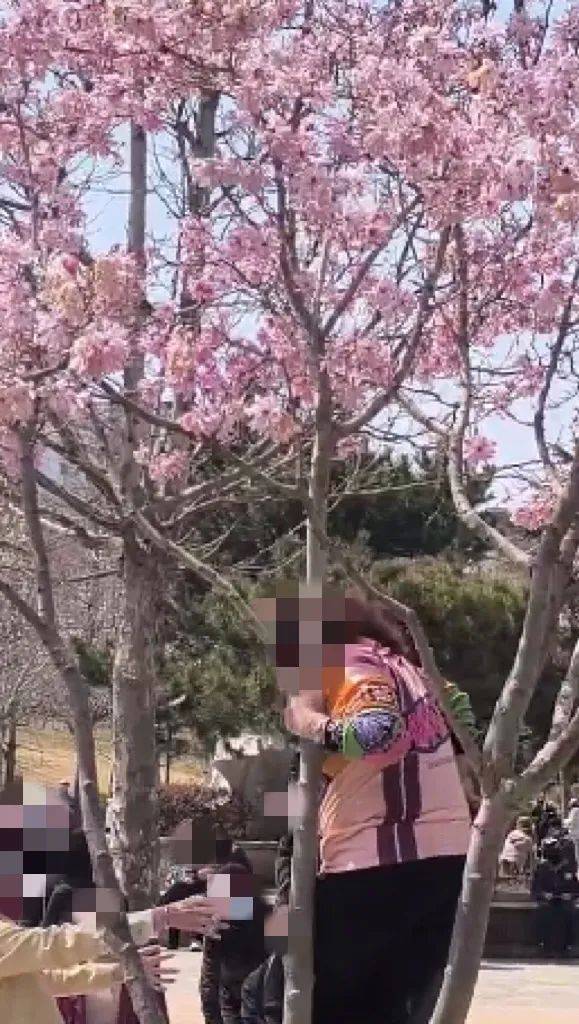 事发劳动公园！这4名女子<strong></p>
<p>gate交易所</strong>，你们这么做不脸红吗？
