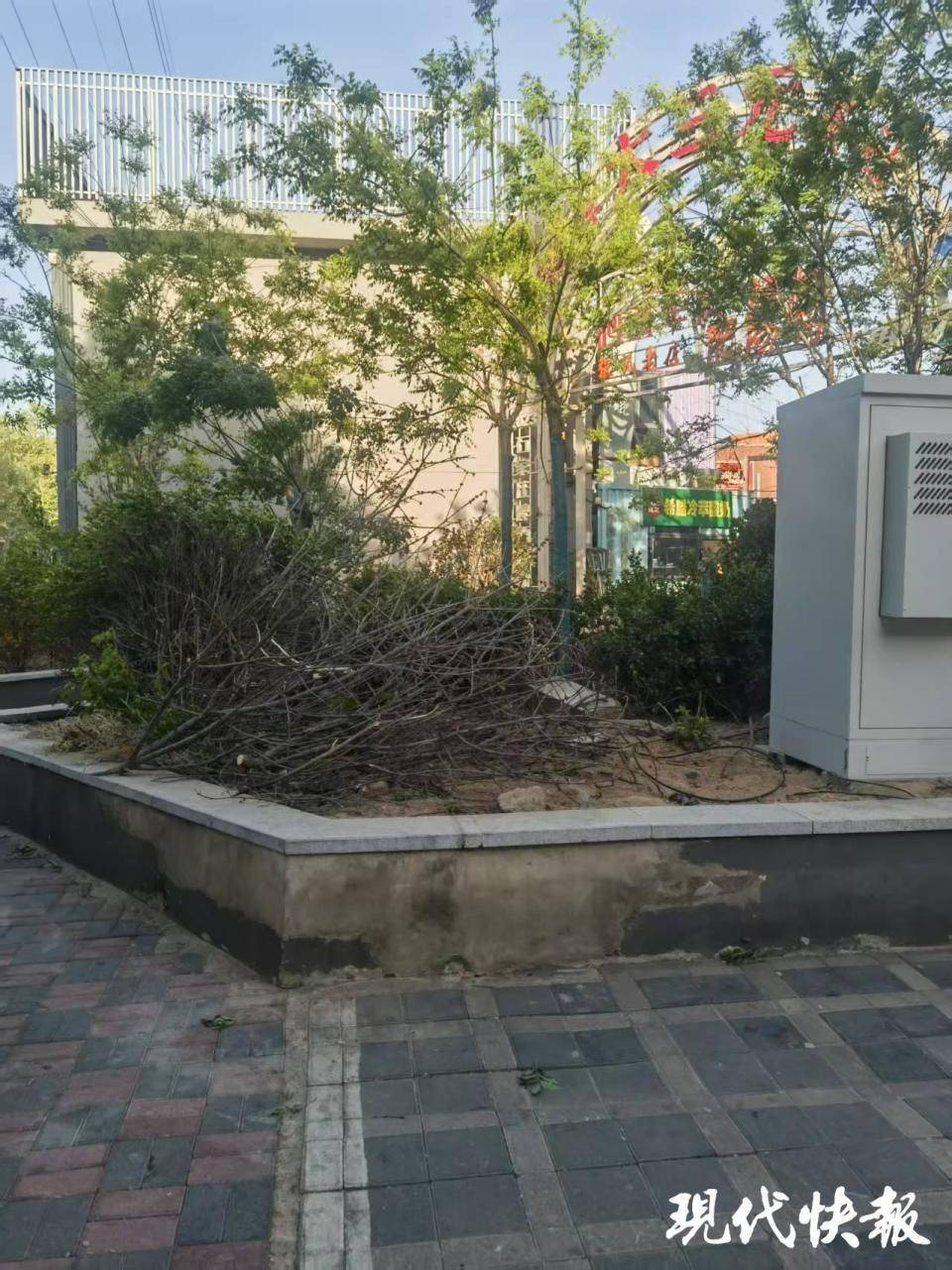 石家庄被家暴女子驾车逃跑致丈夫身亡<strong></p>
<p>币汇</strong>，一审以故意杀人罪获刑11年