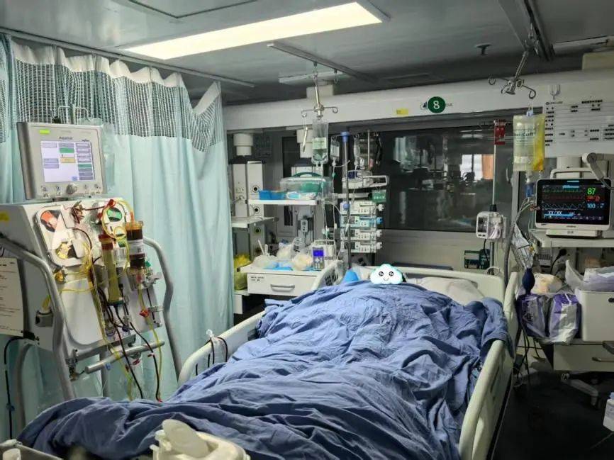 死亡率接近100%<strong></p>
<p>汇币交易所</strong>！一锅“山珍”蘑菇汤放倒一桌人！医生紧急提醒