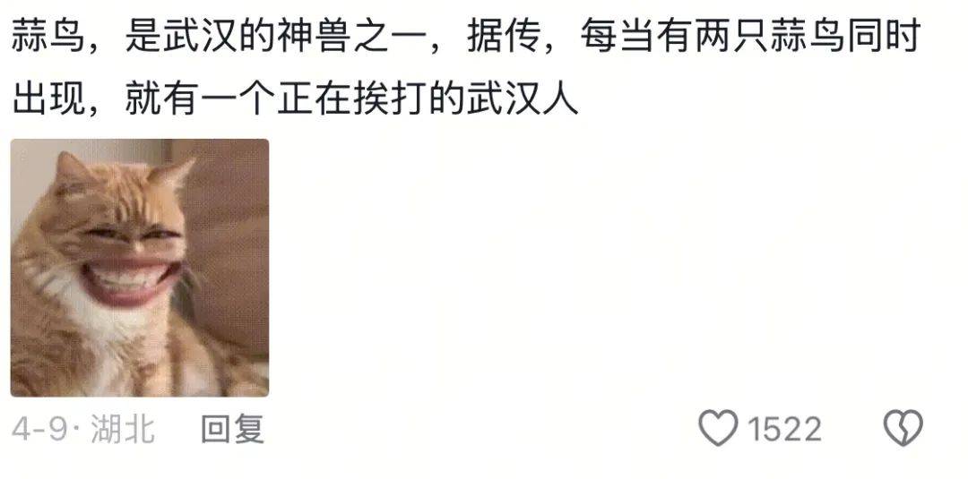 武汉话“蒜鸟”<strong></p>
<p>binance交易平台</strong>，最近劝（添）架（乱）唯一指定用语