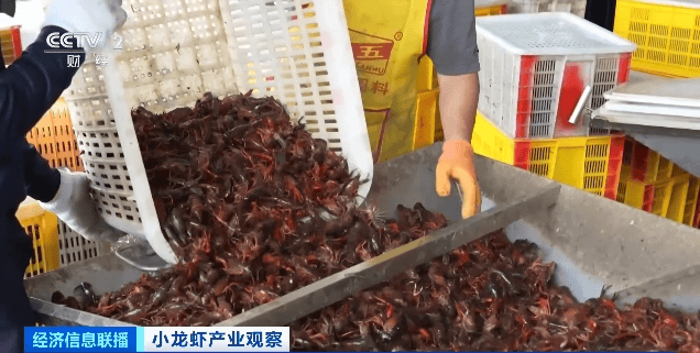 价格暴跌近50%<strong></p>
<p>交易平台靠谱吗</strong>！“接下来还会降”！青岛正大量上市……