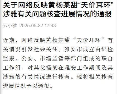 黄杨钿甜父亲被立案调查<strong></p>
<p>数字币平台</strong>，两大问题浮出水面