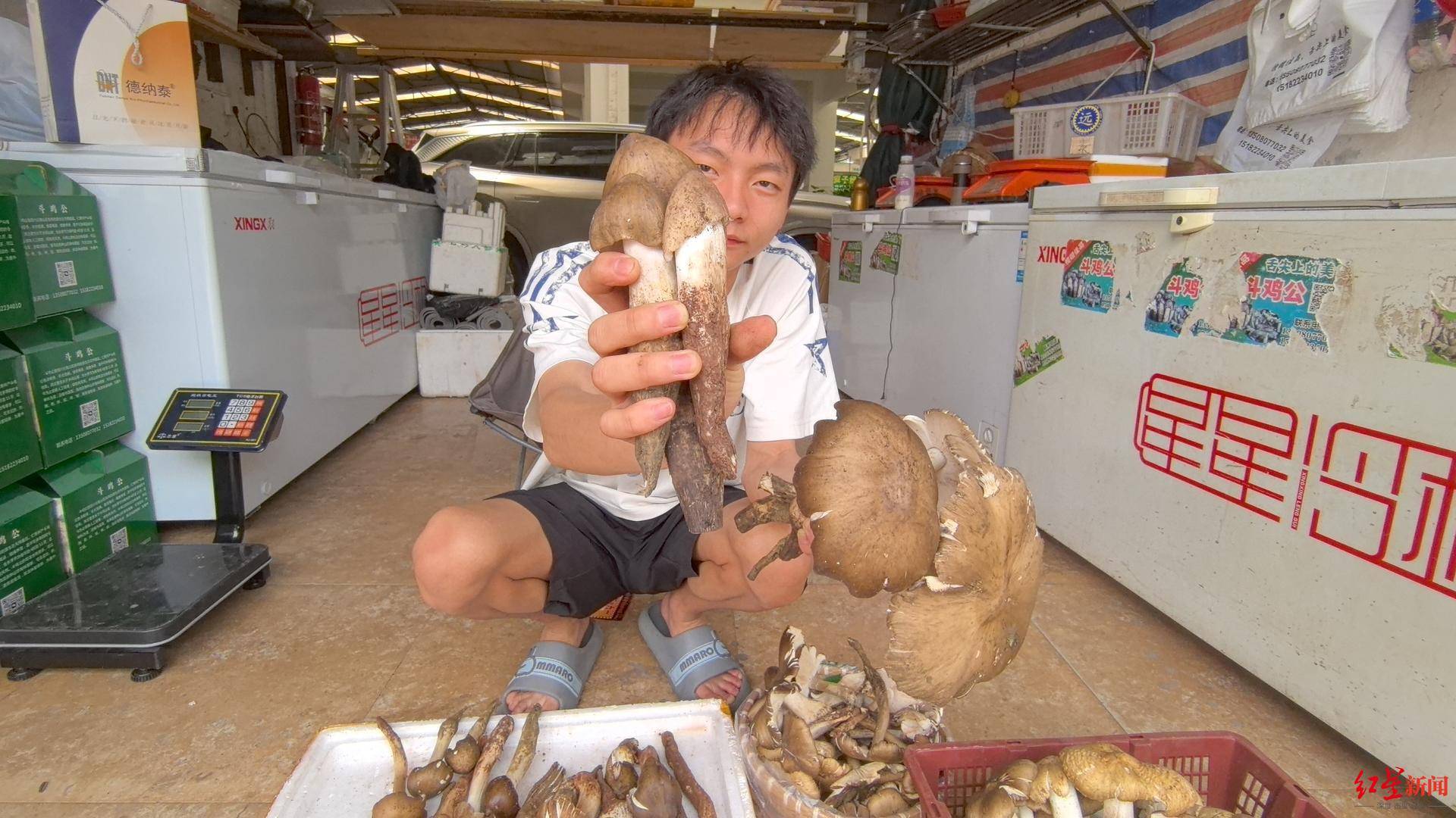 “天价”鸡枞调查：最贵卖到1800元/公斤！雨水少致产量低<strong></p>
<p>币安交易平台</strong>，多地价高客少