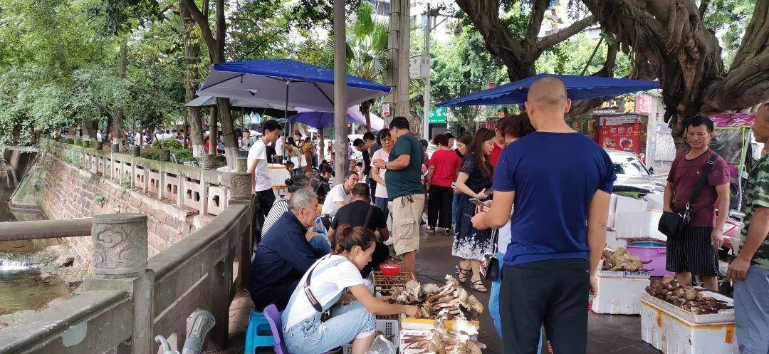 “天价”鸡枞调查：最贵卖到1800元/公斤！雨水少致产量低<strong></p>
<p>币安交易平台</strong>，多地价高客少