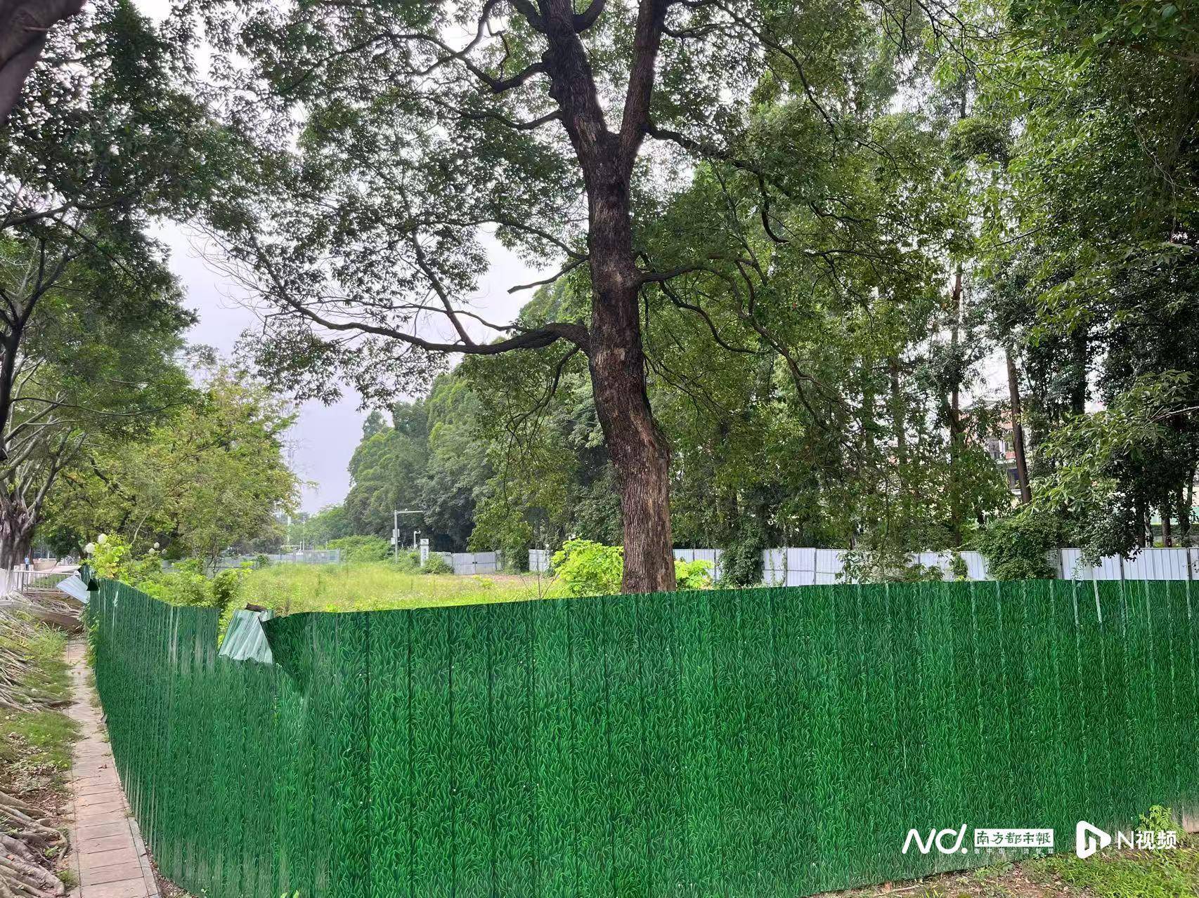 东莞一地多处被围蔽却无人施工<strong></p>
<p>金特币交易平台</strong>，市民质疑工程烂尾，最新回应