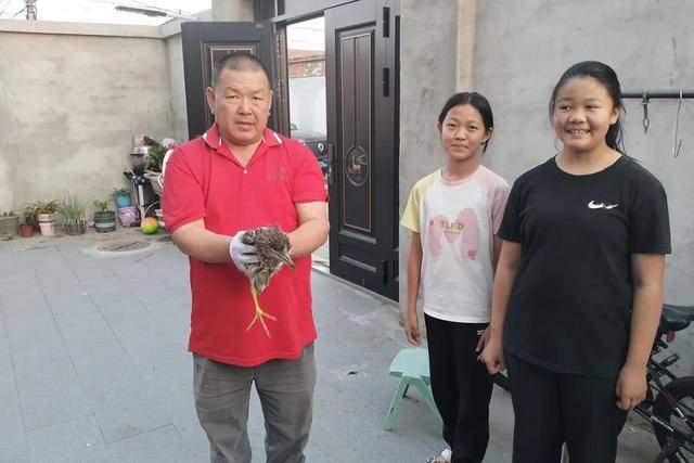 家门口玩耍发现车底有一只鸟<strong></p>
<p>聚币交易平台</strong>，小姐俩的善举拯救国保动物