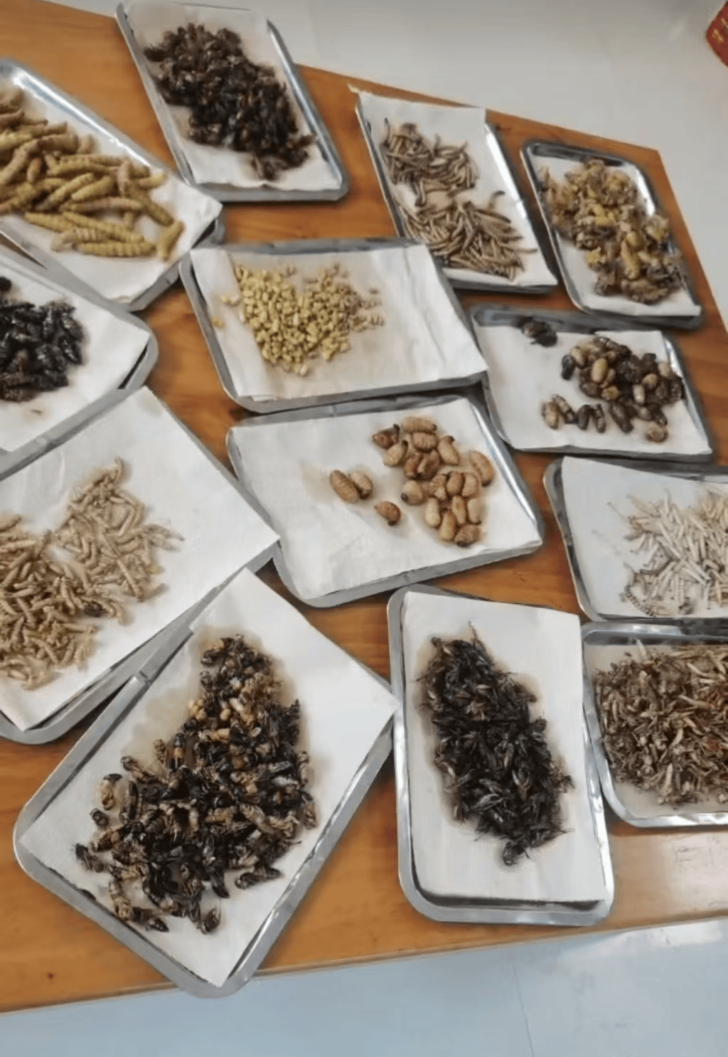 山东临沂通报“蛤蟆汤”饭店被拟罚45万：撤销处罚<strong></p>
<p>交易正规平台</strong>，5人停职