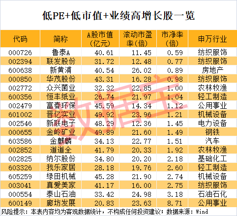 稀缺<strong></p>
<p>中心服务平台</strong>，“小而美”股票出炉，低市值+低PE+高增长，18股上榜