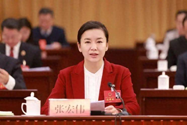 因工作变动调离山东<strong></p>
<p>中心服务平台</strong>，张宏伟、袭艳春辞去省委委员职务