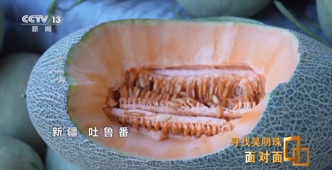 面对面丨中国人的吃瓜自由要感谢她<strong></p>
<p>河北省交易中心服务平台</strong>！吴明珠说她的一生就是结几个好瓜献给人民