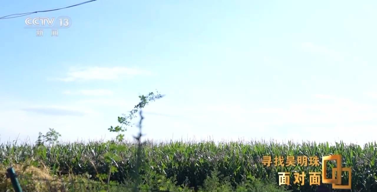 面对面丨中国人的吃瓜自由要感谢她<strong></p>
<p>河北省交易中心服务平台</strong>！吴明珠说她的一生就是结几个好瓜献给人民