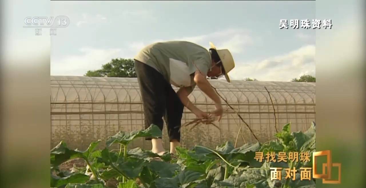 面对面丨中国人的吃瓜自由要感谢她<strong></p>
<p>河北省交易中心服务平台</strong>！吴明珠说她的一生就是结几个好瓜献给人民