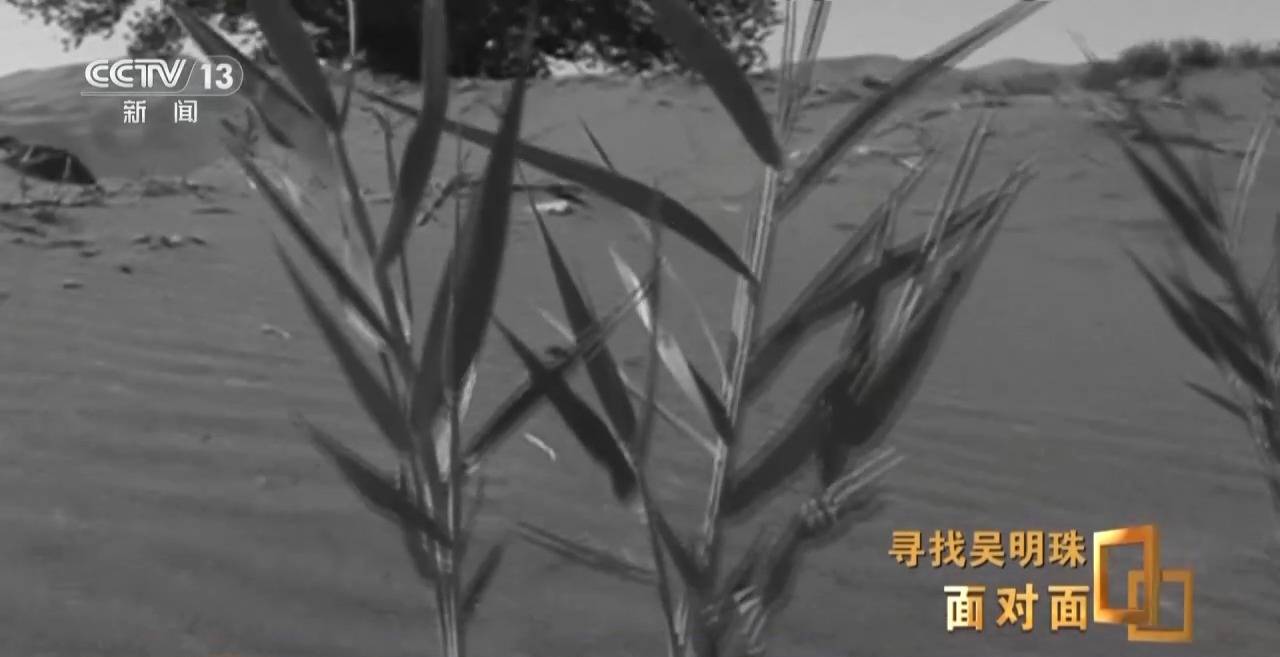 面对面丨中国人的吃瓜自由要感谢她<strong></p>
<p>河北省交易中心服务平台</strong>！吴明珠说她的一生就是结几个好瓜献给人民