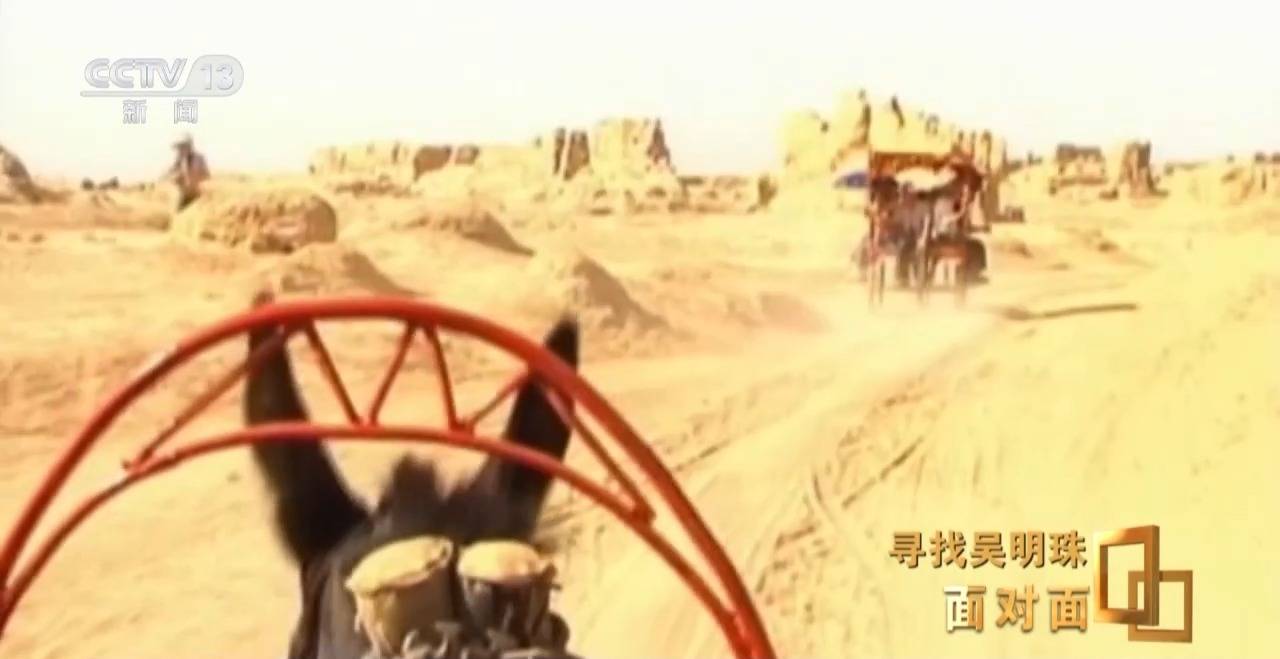 面对面丨中国人的吃瓜自由要感谢她<strong></p>
<p>河北省交易中心服务平台</strong>！吴明珠说她的一生就是结几个好瓜献给人民