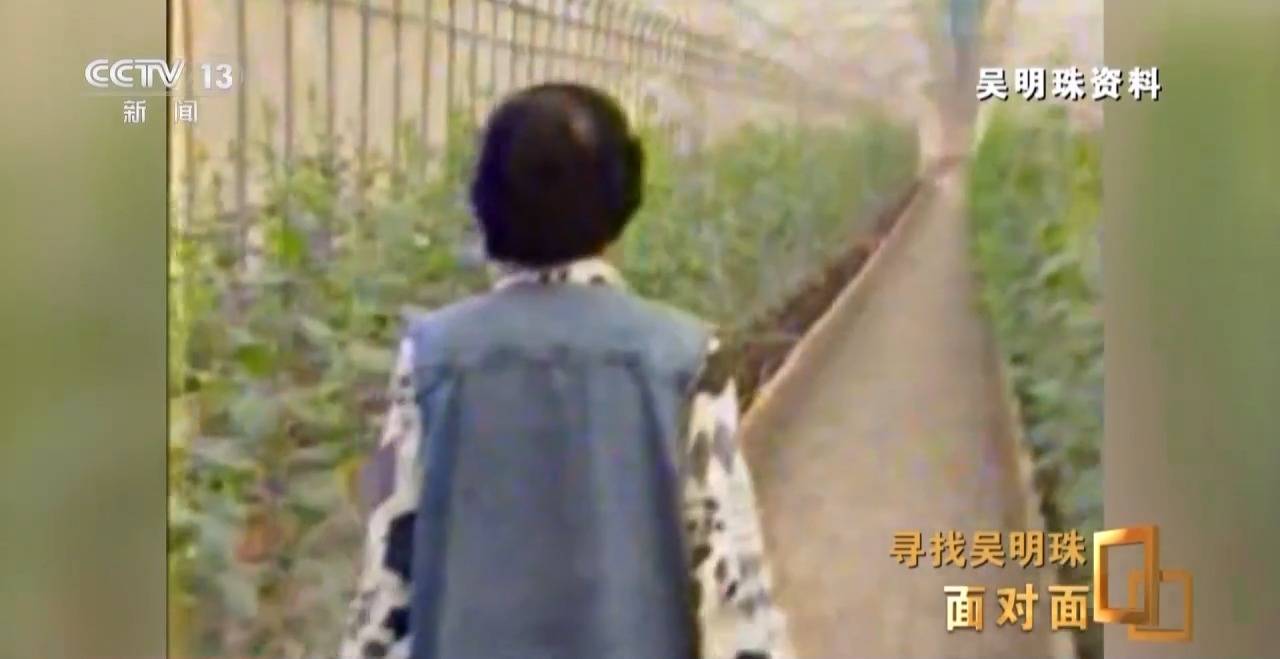 面对面丨中国人的吃瓜自由要感谢她<strong></p>
<p>河北省交易中心服务平台</strong>！吴明珠说她的一生就是结几个好瓜献给人民