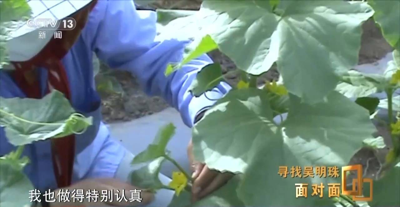 面对面丨中国人的吃瓜自由要感谢她<strong></p>
<p>河北省交易中心服务平台</strong>！吴明珠说她的一生就是结几个好瓜献给人民