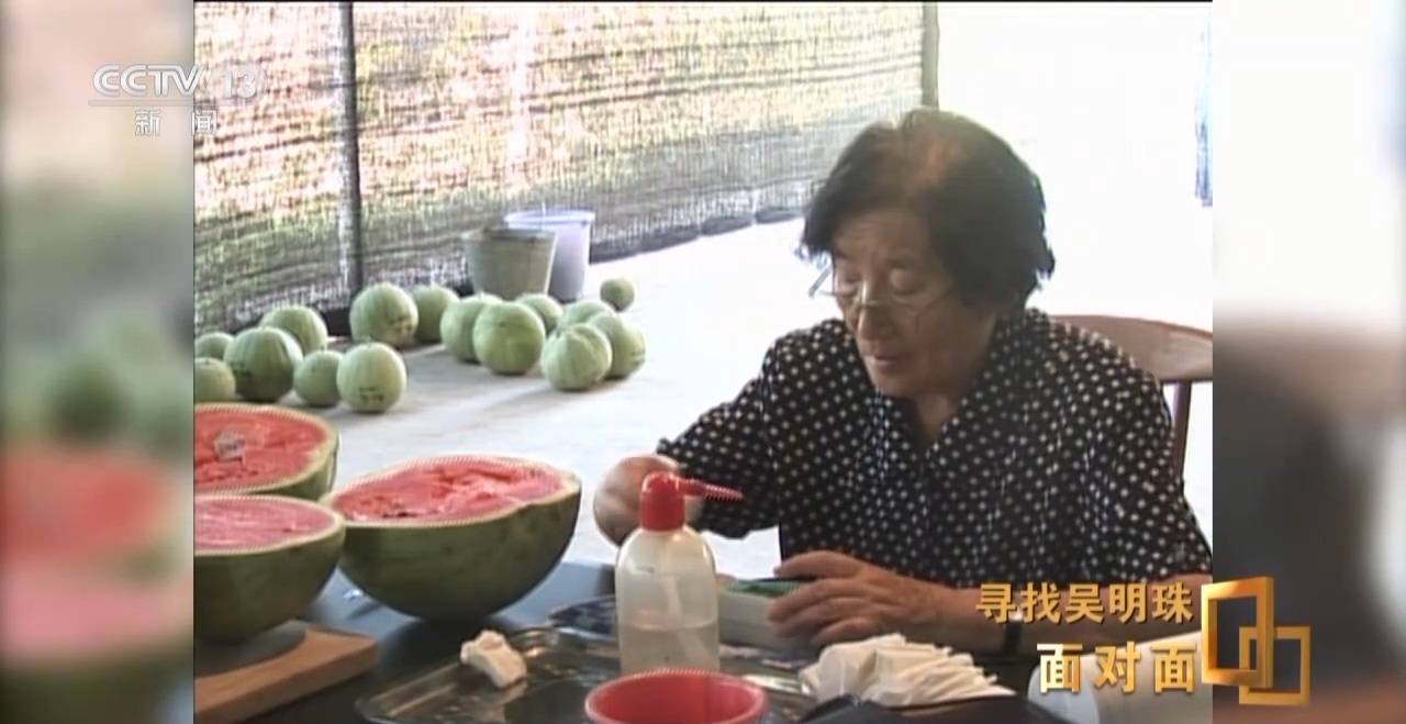 面对面丨中国人的吃瓜自由要感谢她<strong></p>
<p>河北省交易中心服务平台</strong>！吴明珠说她的一生就是结几个好瓜献给人民