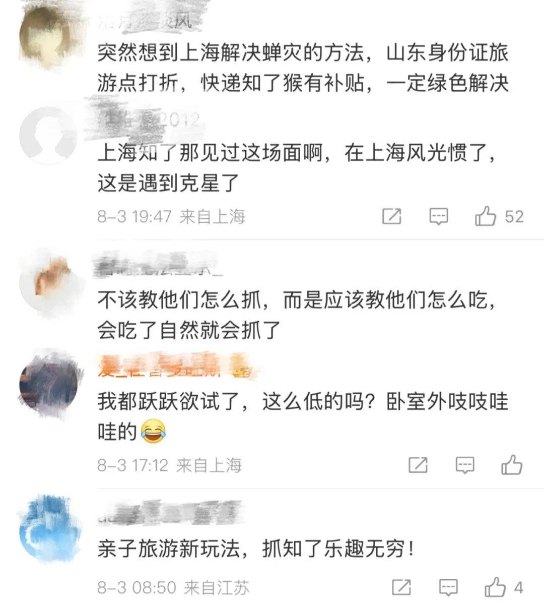 山东父子在上海抓知了降维打击<strong></p>
<p>河北省交易中心服务平台</strong>，“孩子一分钟徒手抓了十几只”