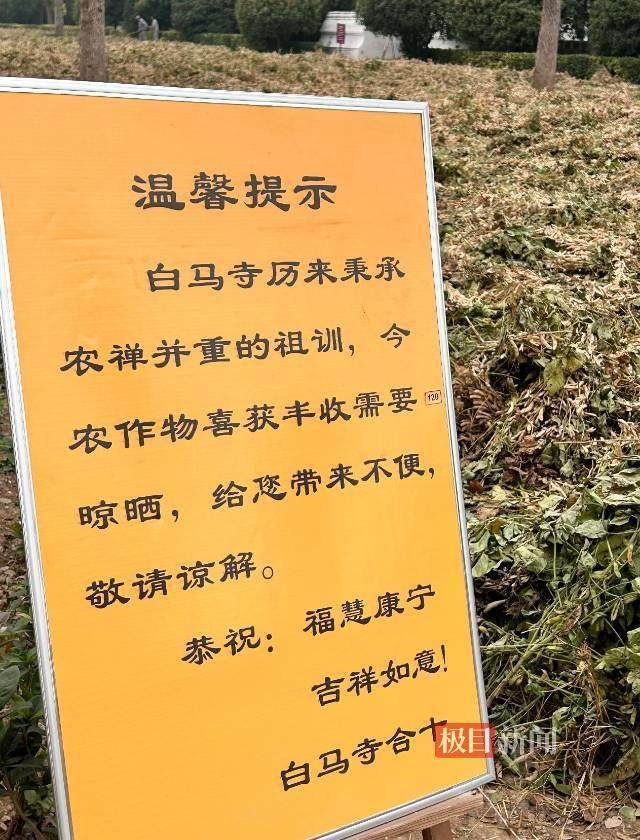 印乐方丈管理下的白马寺：僧人顶着高温种地<strong></p>
<p>河北省交易中心服务平台</strong>，义工称寺里秉承农禅并重